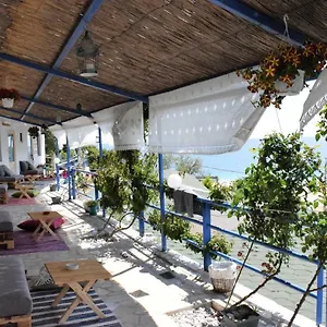 Standard By Scala Albania